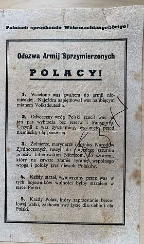 Help Needed! Translation Polish Military records