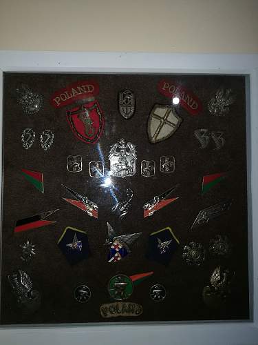 Polish Regimental Badges WW2