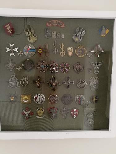 Polish Regimental Badges WW2