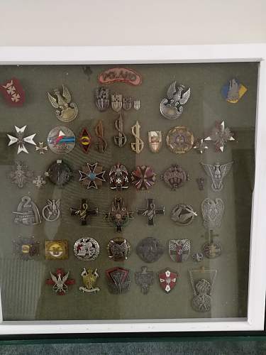 Polish Regimental Badges WW2