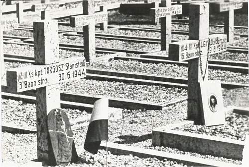 Monte Cassino cross