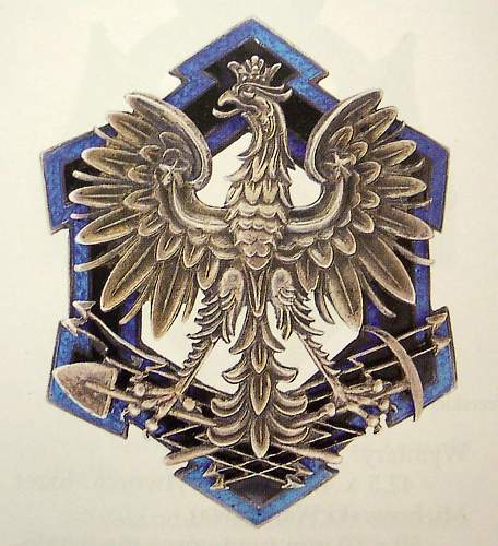 Polish Regimental Badges WW2