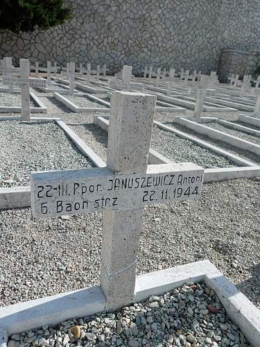 Monte Cassino cross