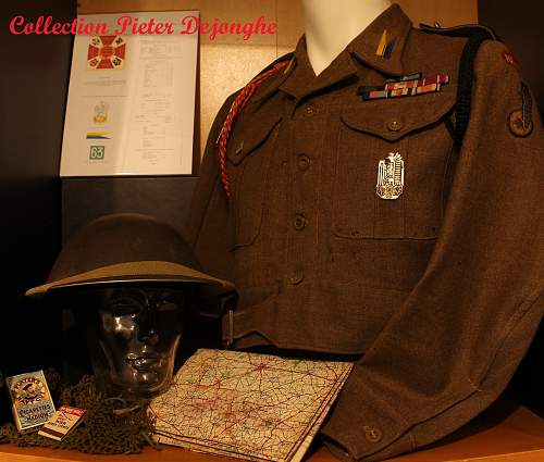 Lets see your Polish Militaria Display!