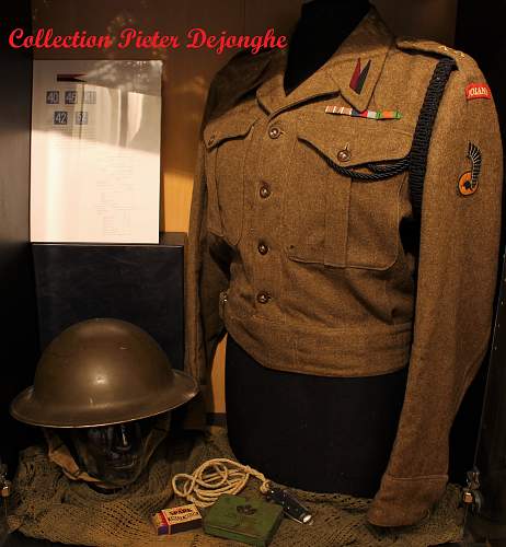 Lets see your Polish Militaria Display!