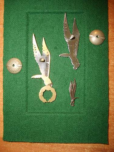 Polish Regimental Badges WW2