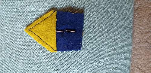 Polish Regimental Badges WW2