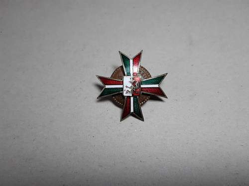 Polish Regimental Badges WW2