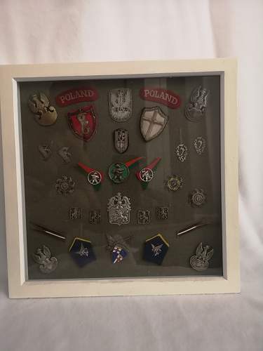 Lets see your Polish Militaria Display!