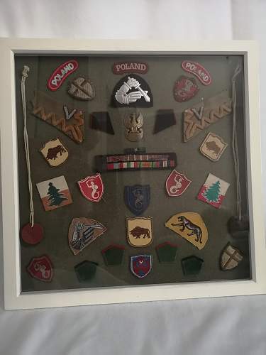 Lets see your Polish Militaria Display!