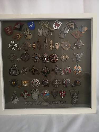 Lets see your Polish Militaria Display!