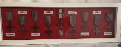 Lets see your Polish Militaria Display!