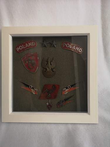 Lets see your Polish Militaria Display!