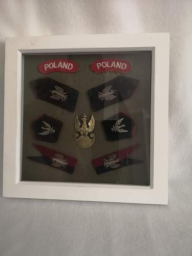 Lets see your Polish Militaria Display!