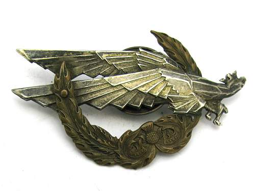 Polish Regimental Badges WW2