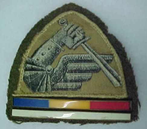 Polish Regimental Badges WW2