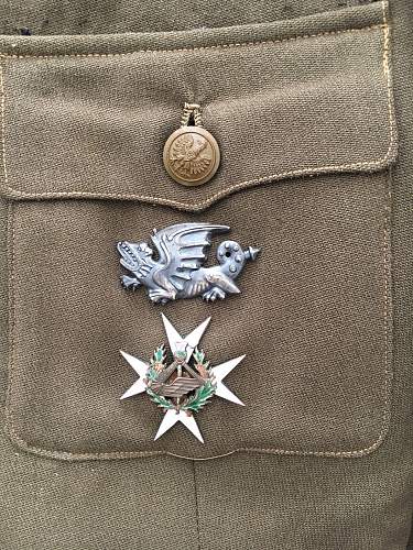 Polish Regimental Badges WW2