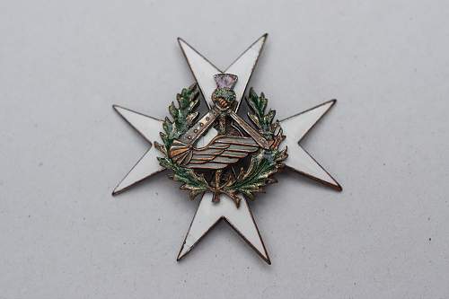 Polish Regimental Badges WW2