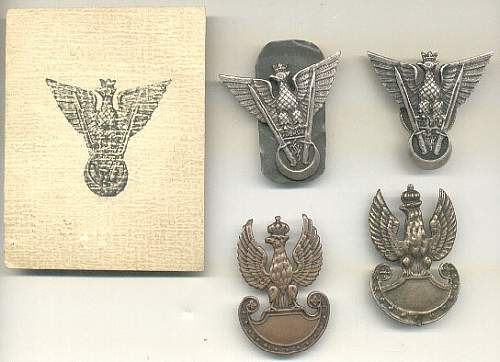 Polish Regimental Badges WW2