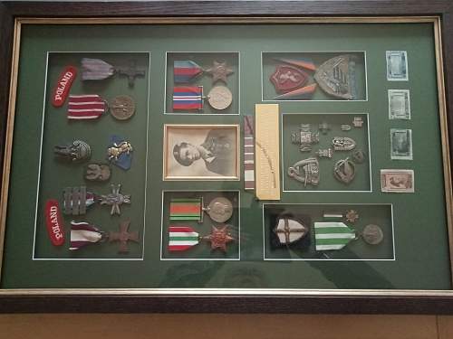 Lets see your Polish Militaria Display!