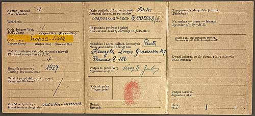 Ex pow identity card