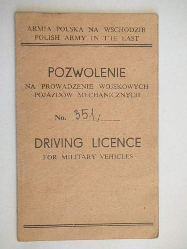 2 nd Warsaw Armored Division Badge