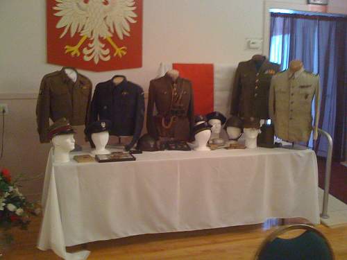 Lets see your Polish Militaria Display!