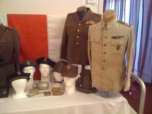 Lets see your Polish Militaria Display!