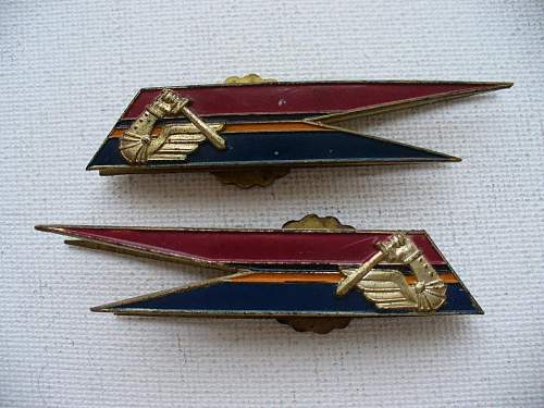 Polish Regimental Badges WW2