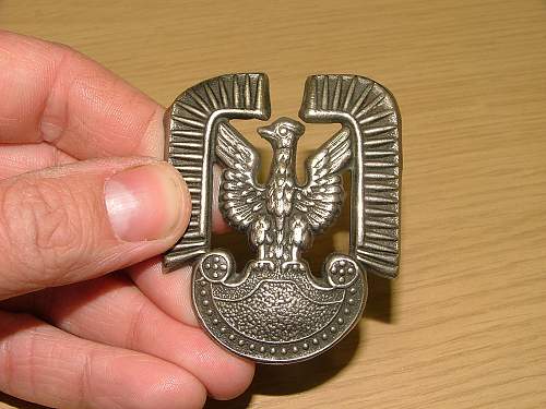 Polish Air Force Cap Badge - Opinions sort