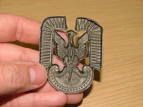 Polish Air Force Cap Badge - Opinions sort