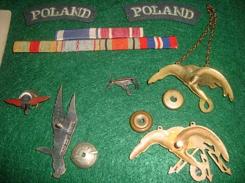 Polish AirForce Badges Gallery