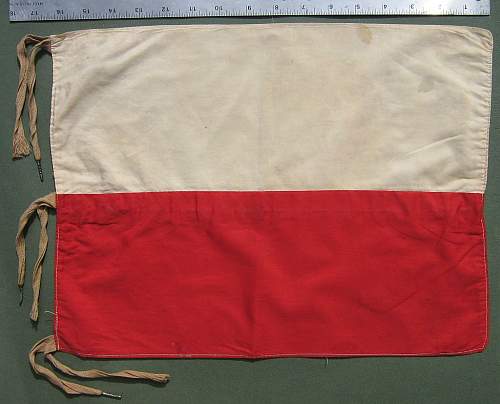 1st Polish Armoured Division Vehicle Flag - ?