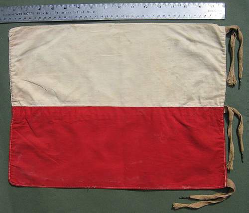 1st Polish Armoured Division Vehicle Flag - ?