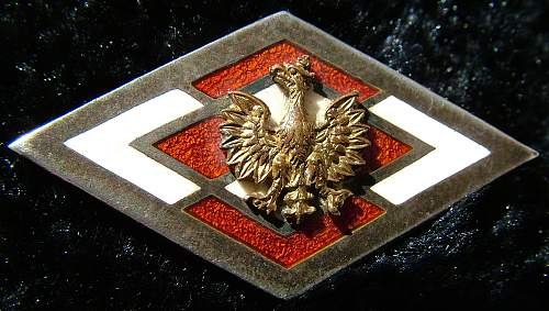 Polish Regimental Badges WW2