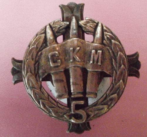 5 Kresowy Batalion Ci&#281;&#380;kich Karabinów Maszynowych Badge