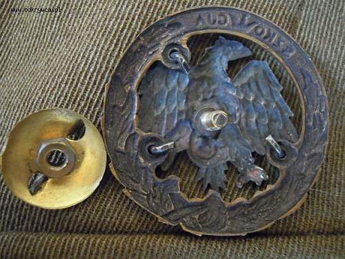 Polish Regimental Badges WW2