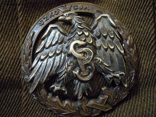 Polish Regimental Badges WW2