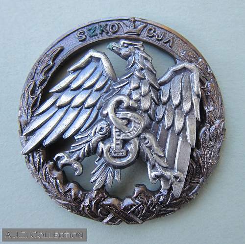 Polish Regimental Badges WW2