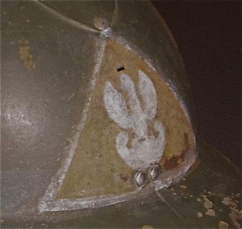 Polish Exile helmet Eagles