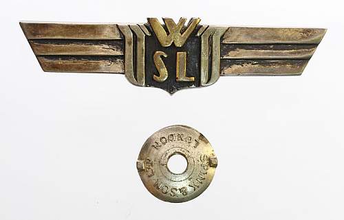 Polish Regimental Badges WW2