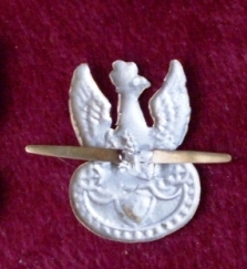 Polish Hat Eagles