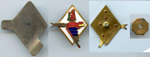 Polish Regimental Badges WW2