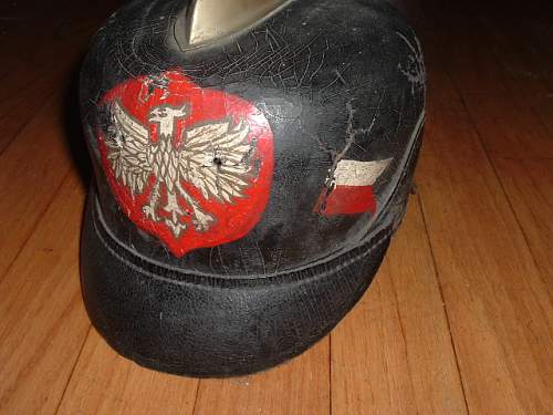 Lets see your Polish Militaria Display!