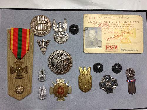 Lets see your Polish Militaria Display!