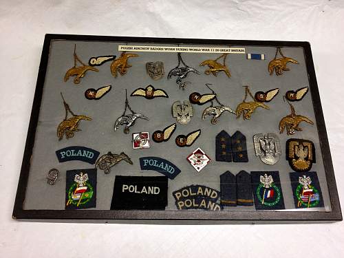 Lets see your Polish Militaria Display!