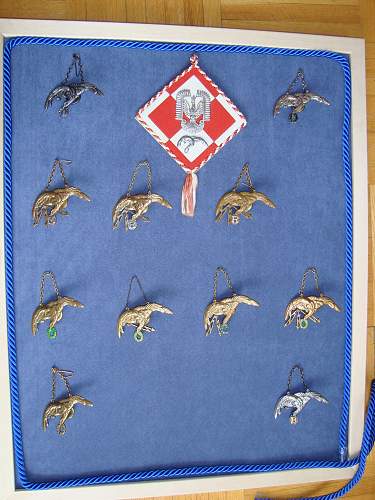 Polish AirForce Badges Gallery