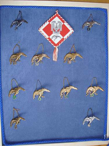 Polish AirForce Badges Gallery