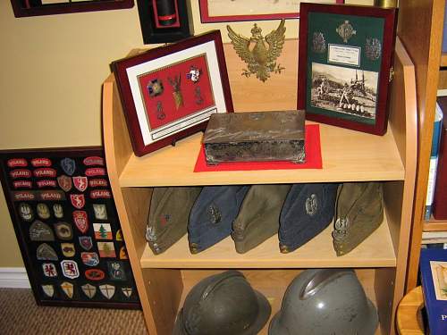 Lets see your Polish Militaria Display!