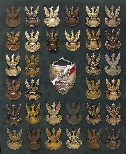 Lets see your Polish Militaria Display!